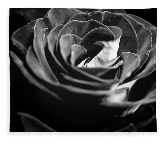 Large Black and White Rose - Blanket