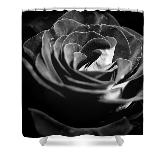 Large Black and White Rose - Shower Curtain