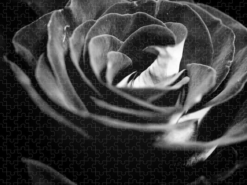 Large Black and White Rose - Puzzle