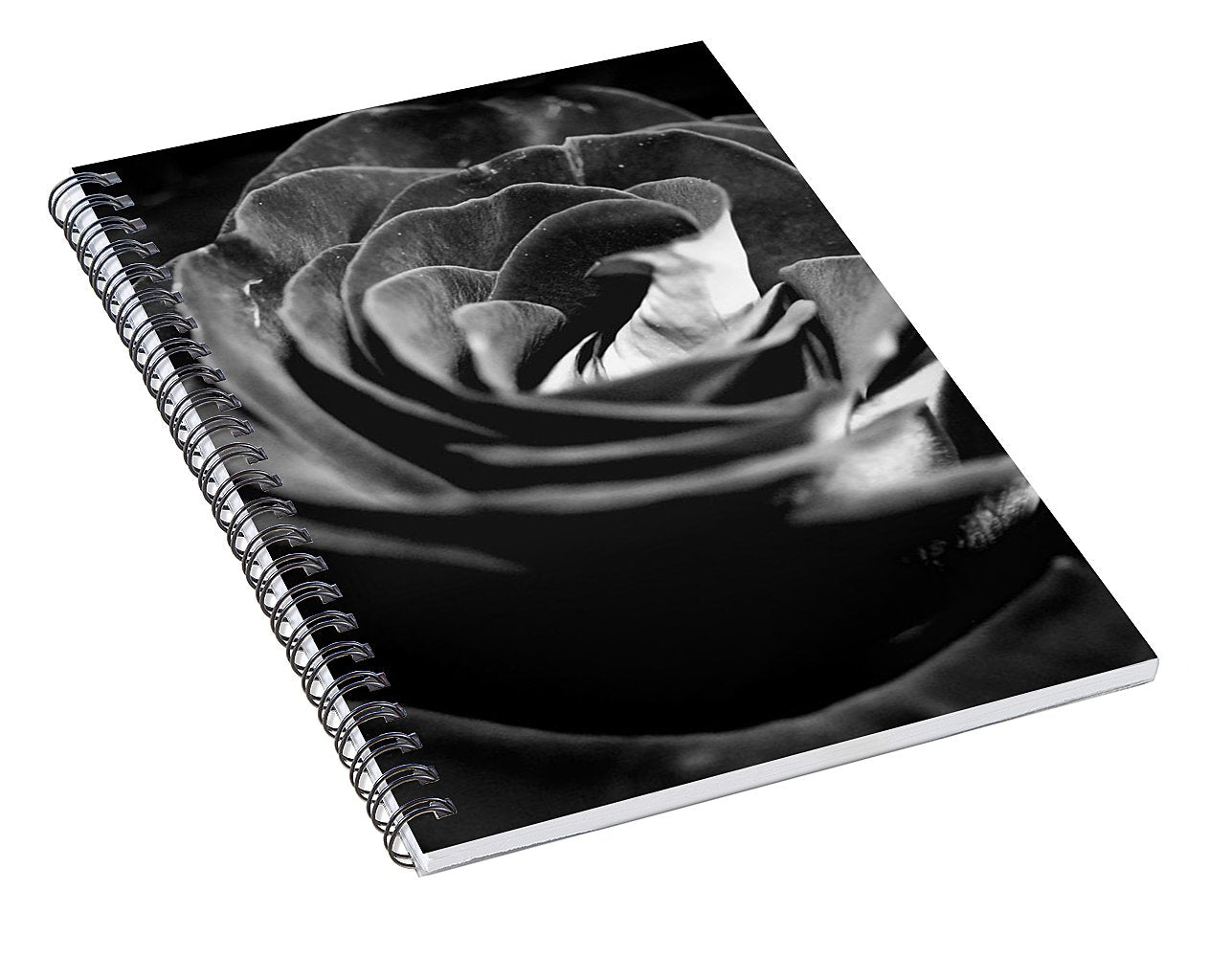 Large Black and White Rose - Spiral Notebook