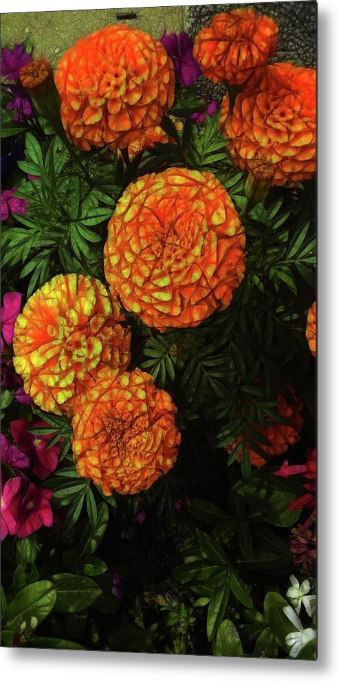 Large Marigolds - Metal Print