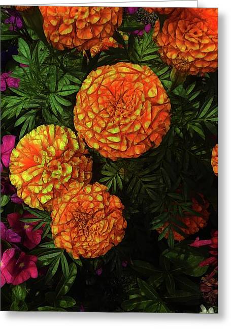 Large Marigolds - Greeting Card