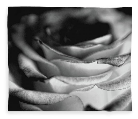 Light Black and White Rose - Blanket