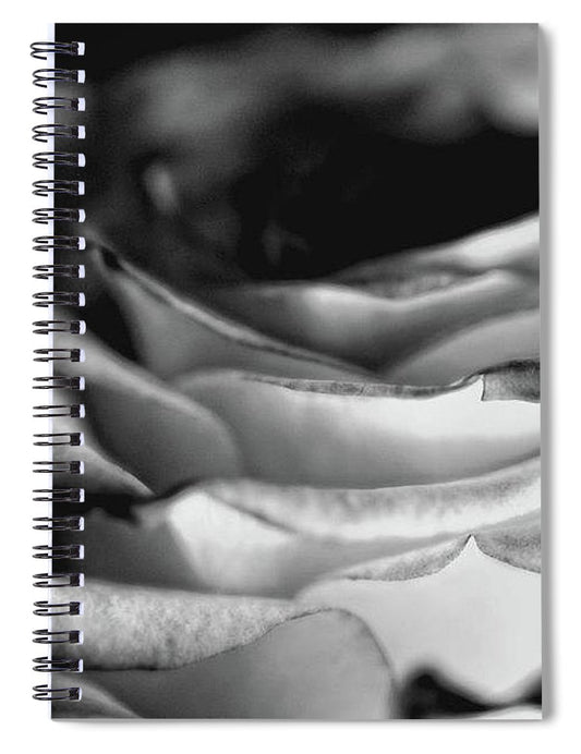 Light Black and White Rose - Spiral Notebook
