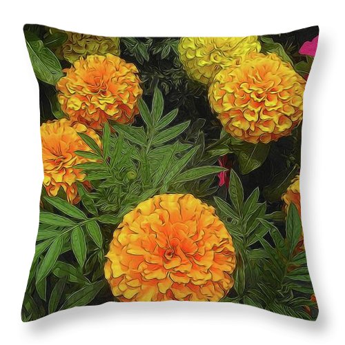 Marigold Garden - Throw Pillow