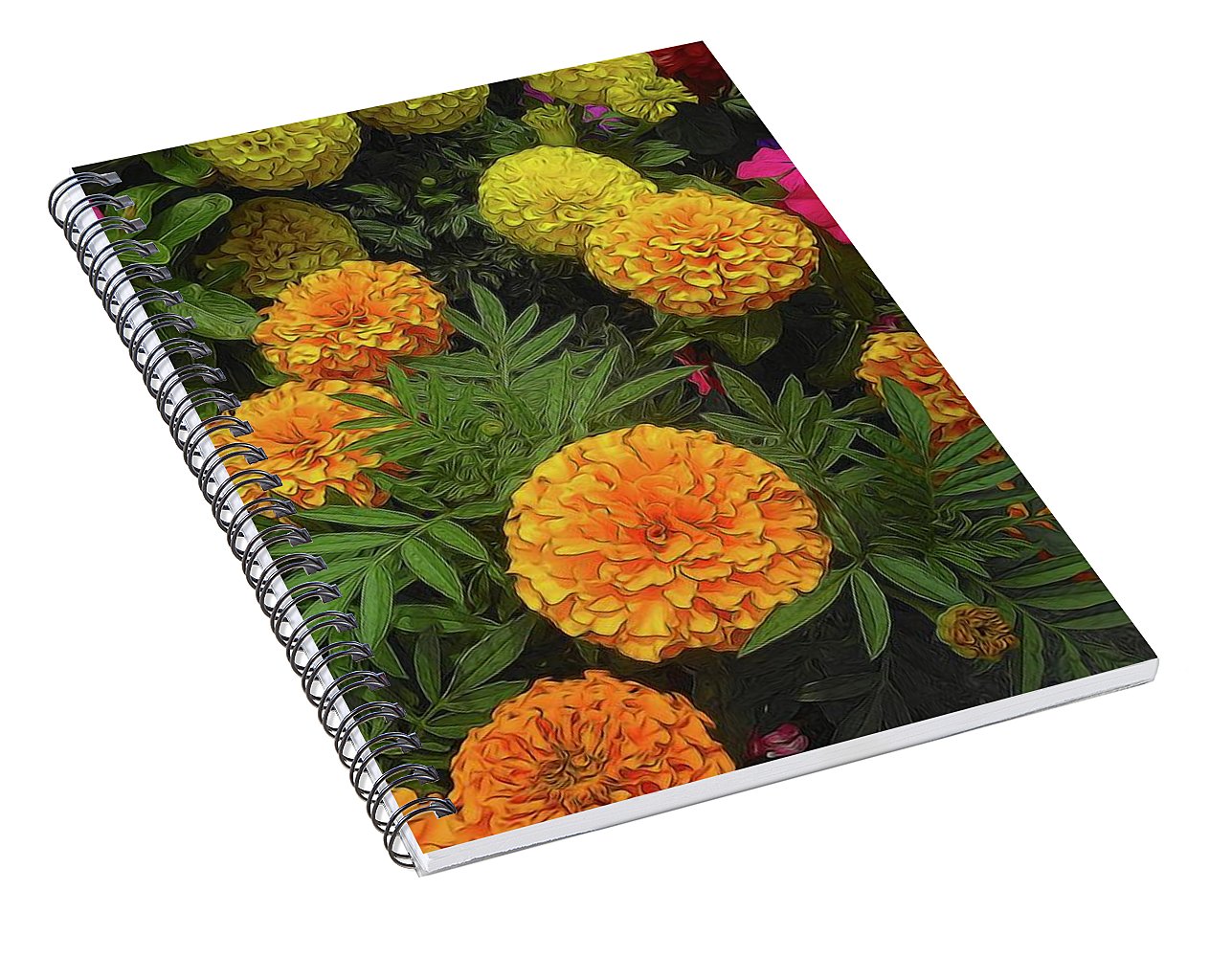 Marigold Garden - Spiral Notebook