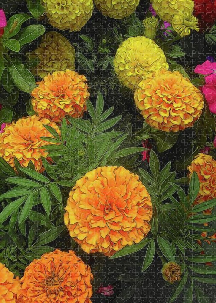 Marigold Garden - Puzzle