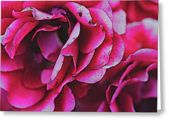 Pink and White Flowers - Greeting Card