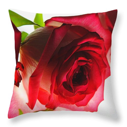 Pink Lined White Rose - Throw Pillow