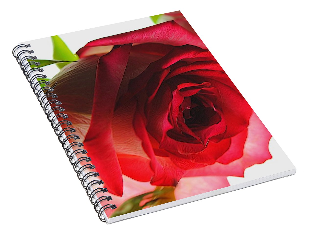 Pink Lined White Rose - Spiral Notebook