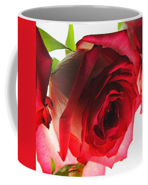 Pink Lined White Rose - Mug