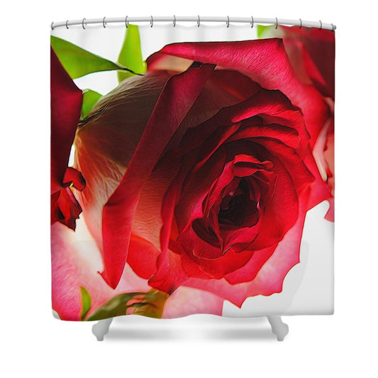 Pink Lined White Rose - Shower Curtain