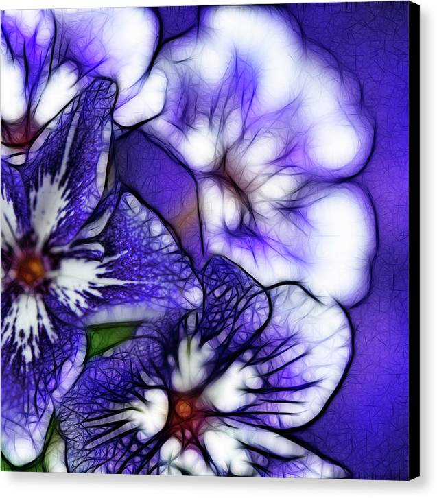 Purple and White Flowers - Canvas Print