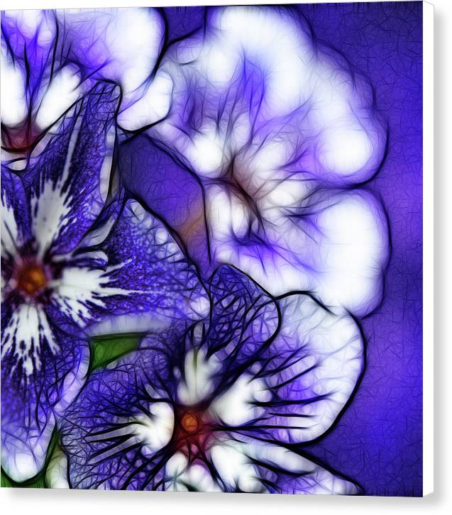 Purple and White Flowers - Canvas Print