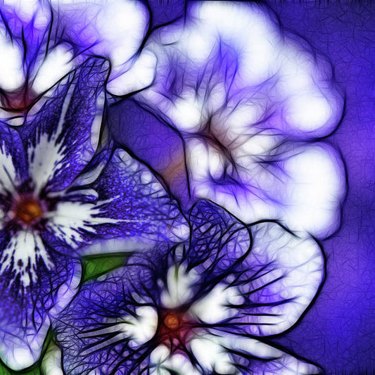 Purple and White Flowers - Art Print