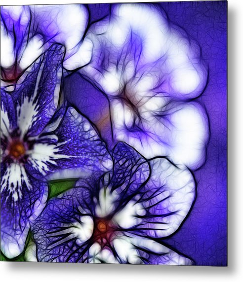 Purple and White Flowers - Metal Print