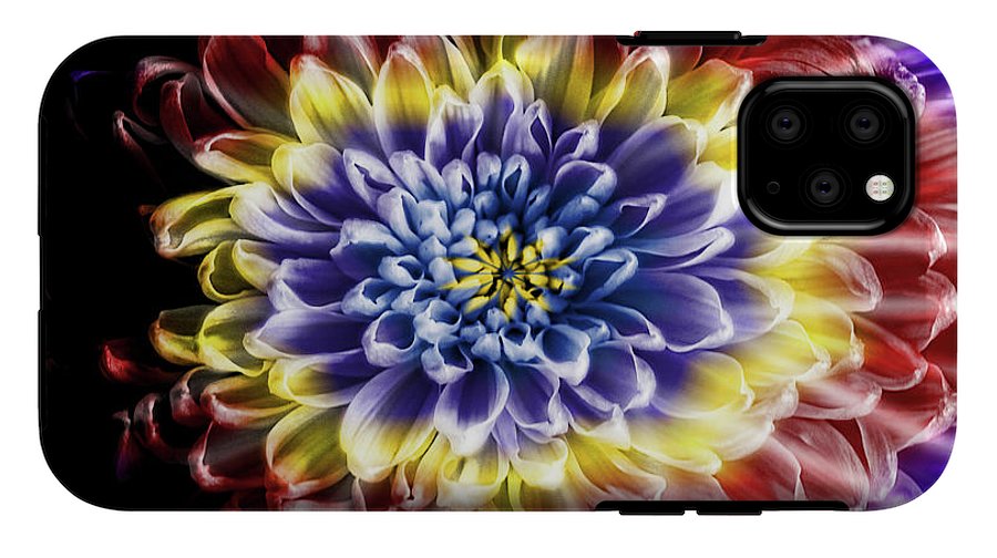 Rainbow Chrysanthemum #1 - Phone Case