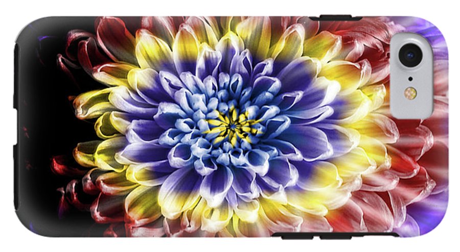 Rainbow Chrysanthemum #1 - Phone Case