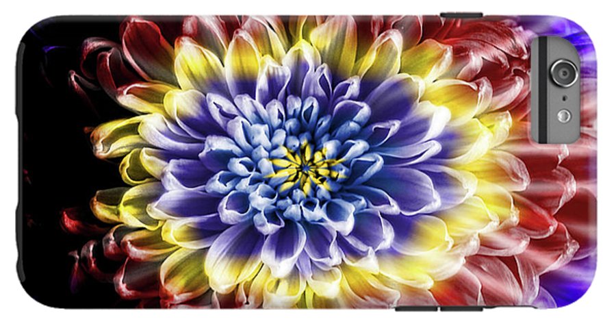 Rainbow Chrysanthemum #1 - Phone Case