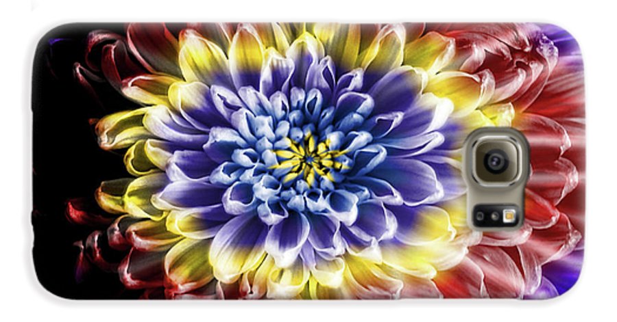 Rainbow Chrysanthemum #1 - Phone Case