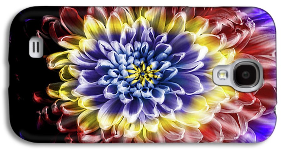 Rainbow Chrysanthemum #1 - Phone Case