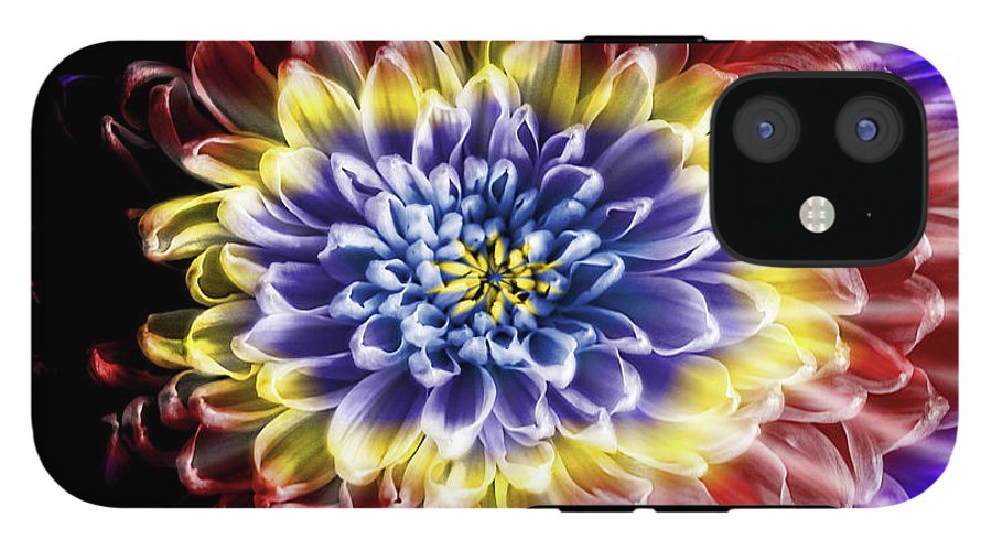 Rainbow Chrysanthemum #1 - Phone Case