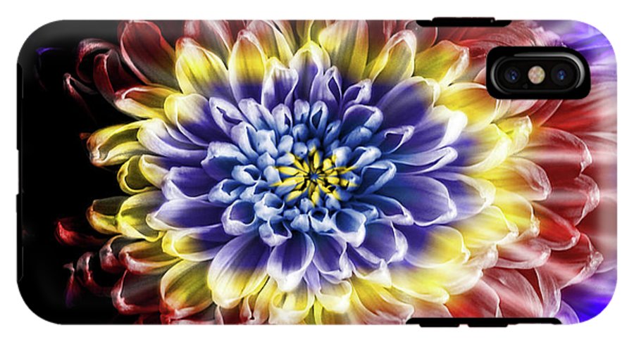 Rainbow Chrysanthemum #1 - Phone Case