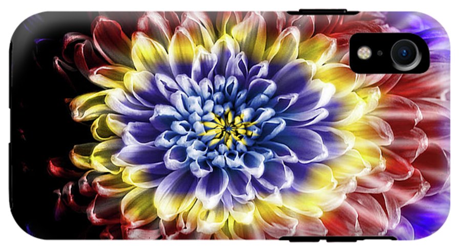 Rainbow Chrysanthemum #1 - Phone Case