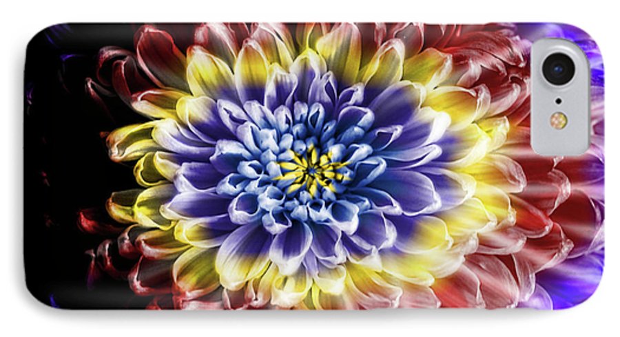 Rainbow Chrysanthemum #1 - Phone Case