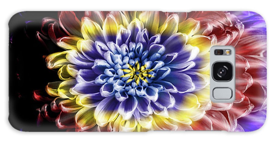 Rainbow Chrysanthemum #1 - Phone Case