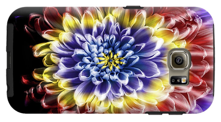 Rainbow Chrysanthemum #1 - Phone Case