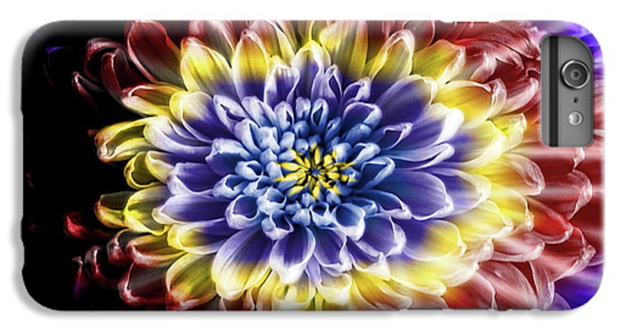 Rainbow Chrysanthemum #1 - Phone Case