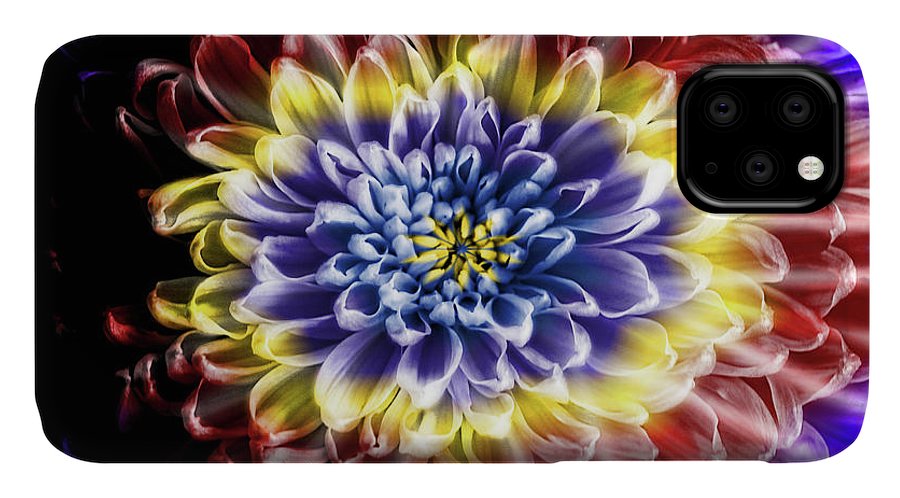 Rainbow Chrysanthemum #1 - Phone Case