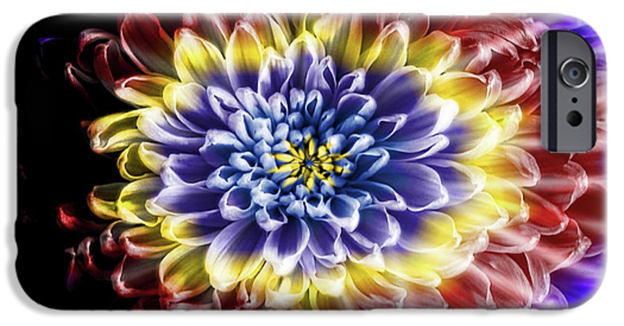 Rainbow Chrysanthemum #1 - Phone Case