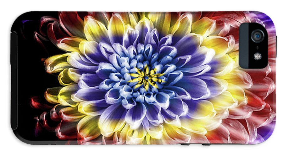 Rainbow Chrysanthemum #1 - Phone Case