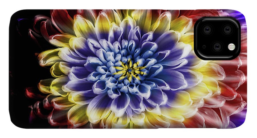 Rainbow Chrysanthemum #1 - Phone Case