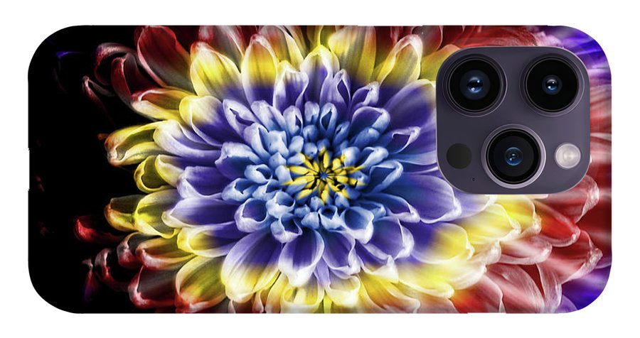 Rainbow Chrysanthemum #1 - Phone Case