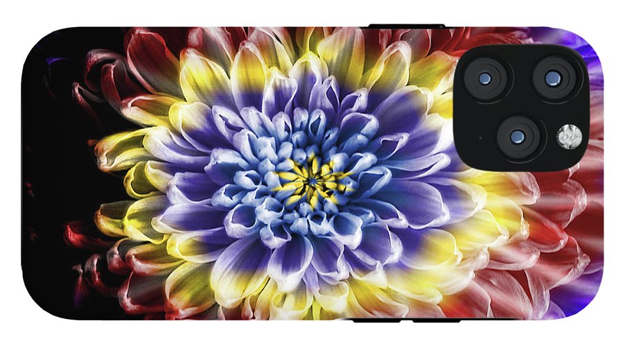 Rainbow Chrysanthemum #1 - Phone Case