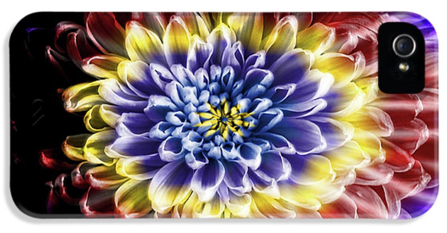 Rainbow Chrysanthemum #1 - Phone Case