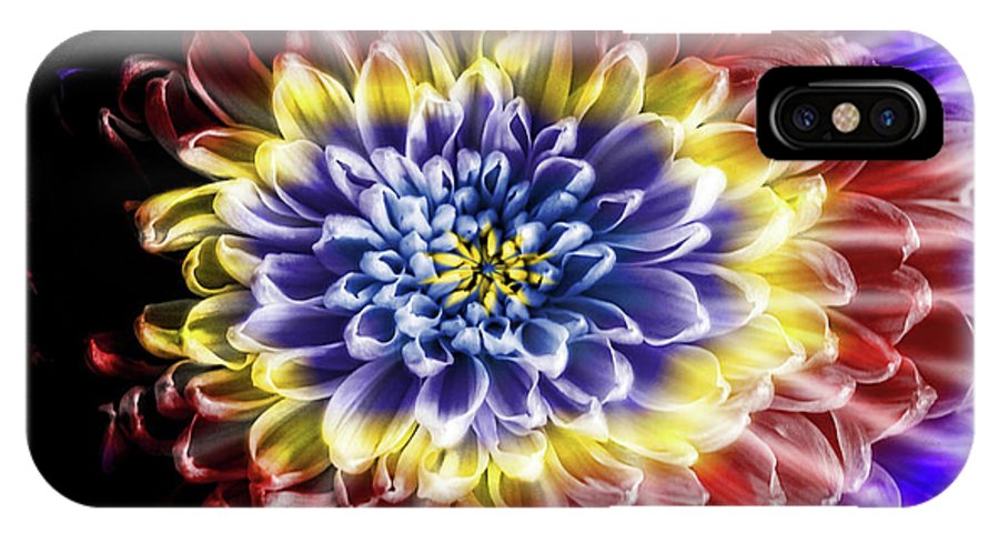 Rainbow Chrysanthemum #1 - Phone Case