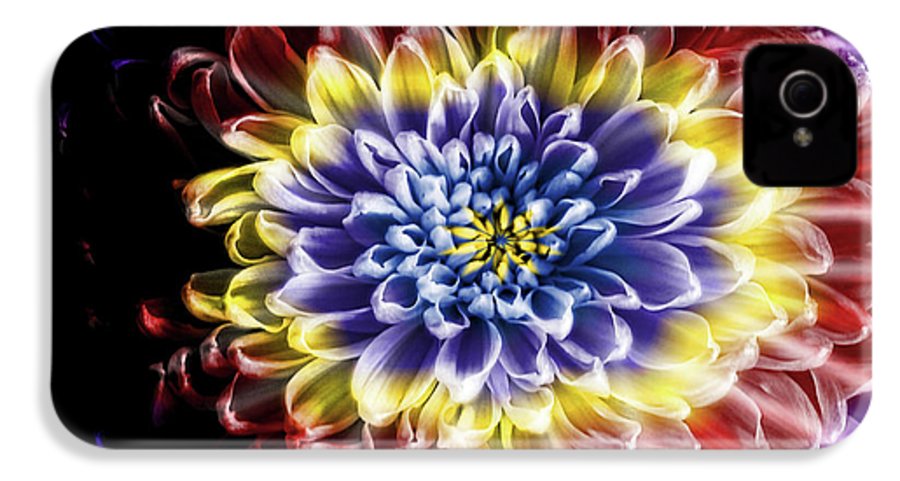 Rainbow Chrysanthemum #1 - Phone Case