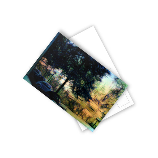Parking Under a Tree Postcards (10pcs)