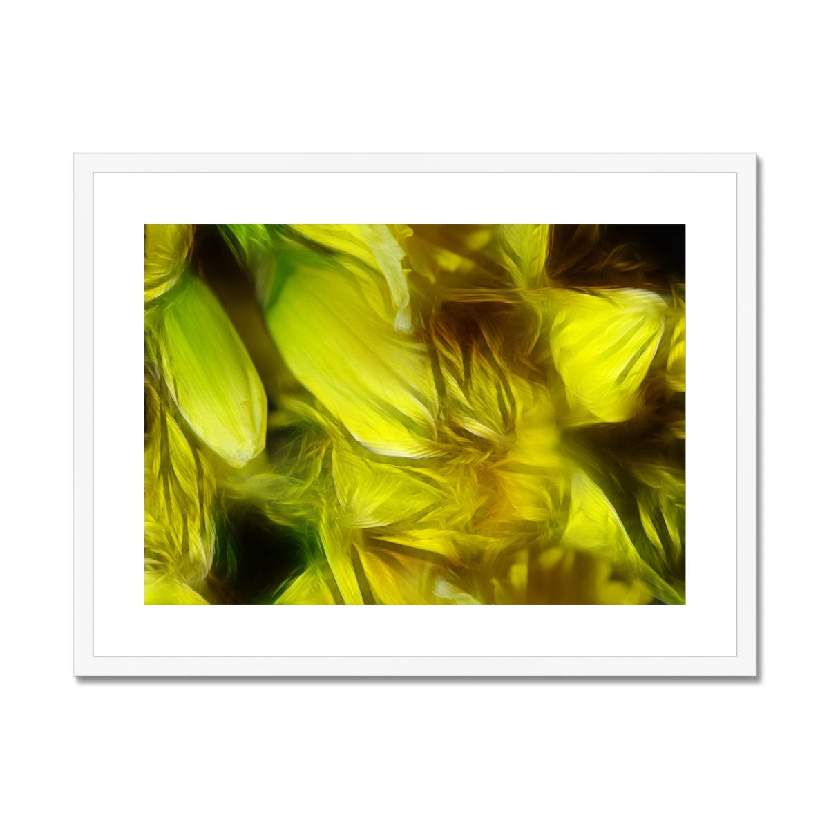 Abstract Yellow Daffodils Framed & Mounted Print