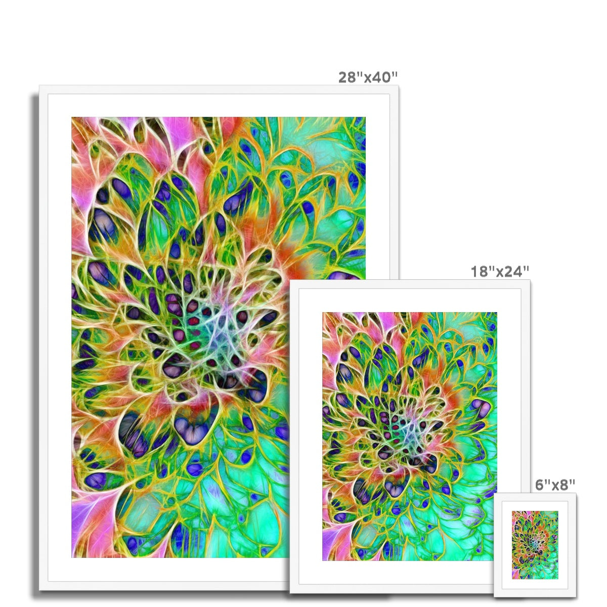 Abstract Peacock Chrysanthemum Framed & Mounted Print