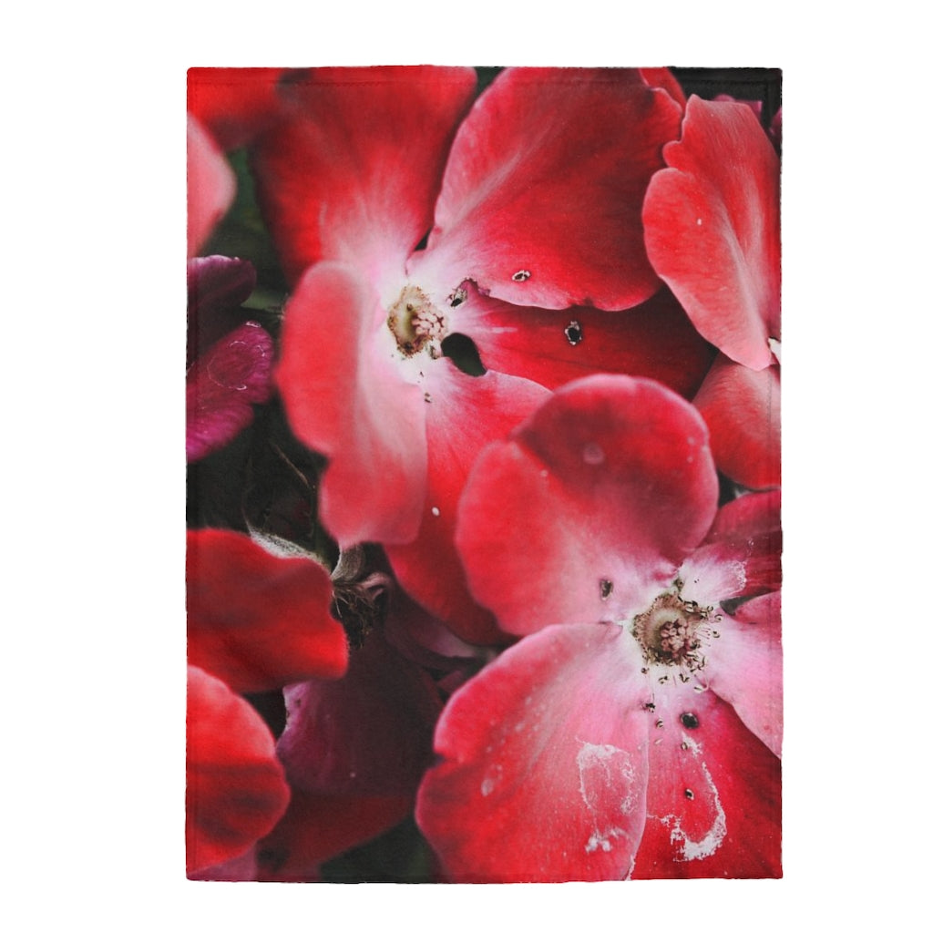 Bright Red Flowers Velveteen Plush Blanket