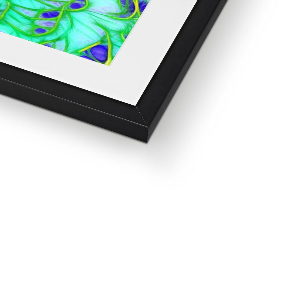 Abstract Peacock Chrysanthemum Framed & Mounted Print