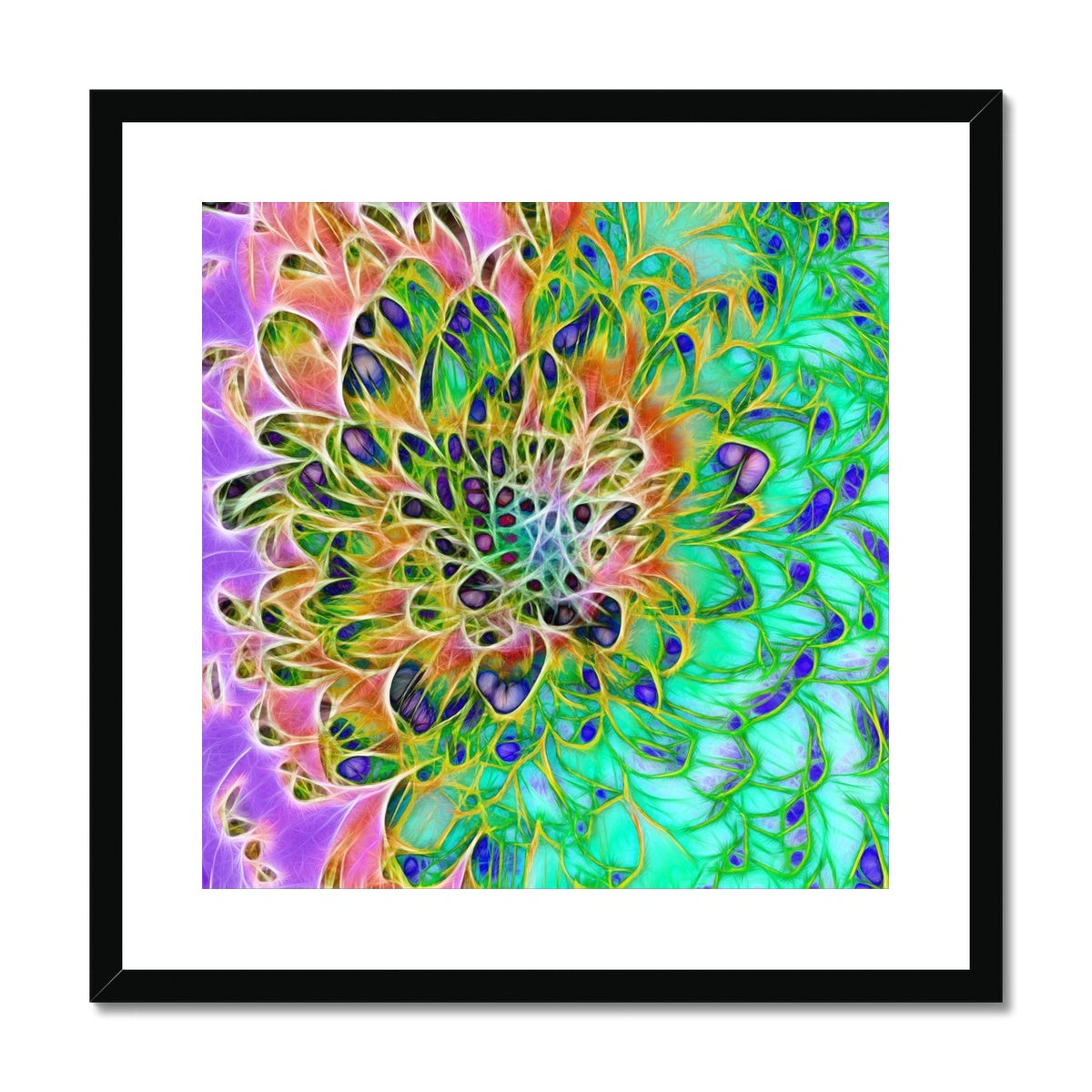 Abstract Peacock Chrysanthemum Framed & Mounted Print