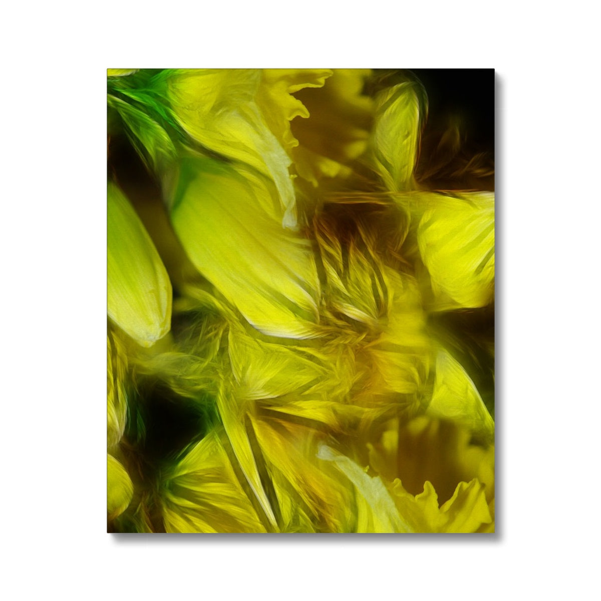 Abstract Yellow Daffodils Canvas