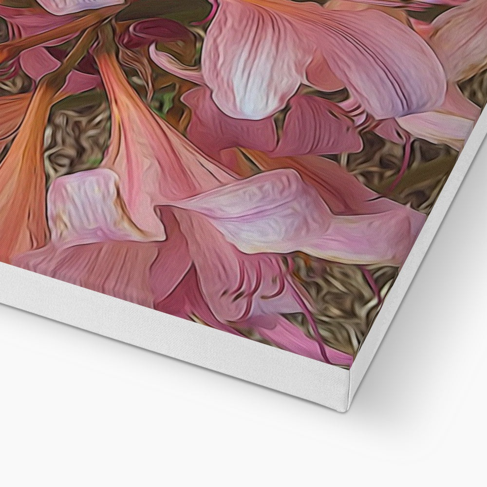 Pink Amaryllis Canvas