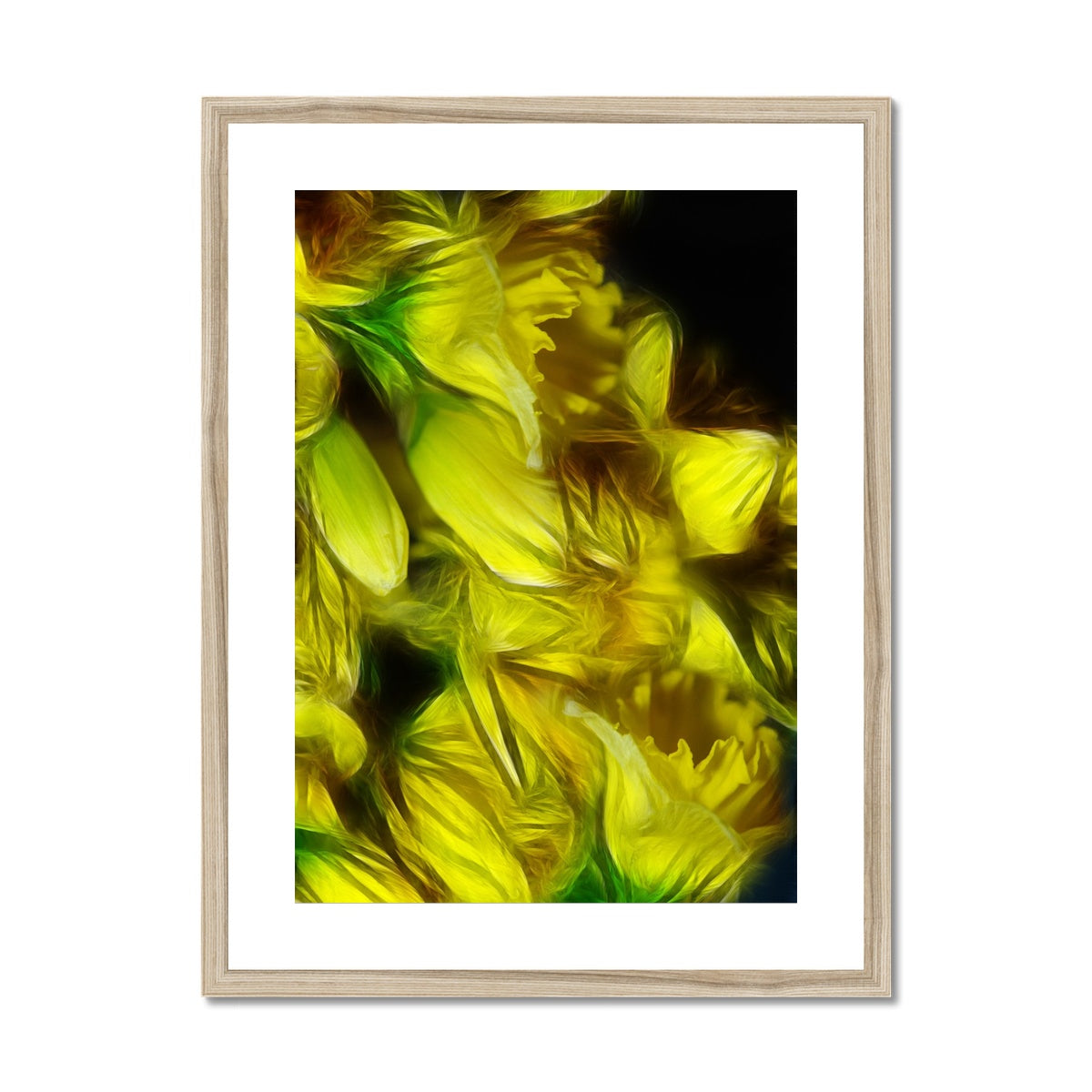 Abstract Yellow Daffodils Framed & Mounted Print